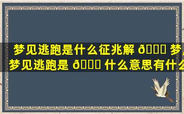 梦见逃跑是什么征兆解 💐 梦,梦见逃跑是 🐈 什么意思有什么预兆